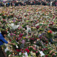 Norway recovers from attacks (Getty Images)